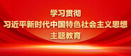 大鸡吧进来了好舒服91视频学习贯彻习近平新时代中国特色社会主义思想主题教育_fororder_ad-371X160(2)